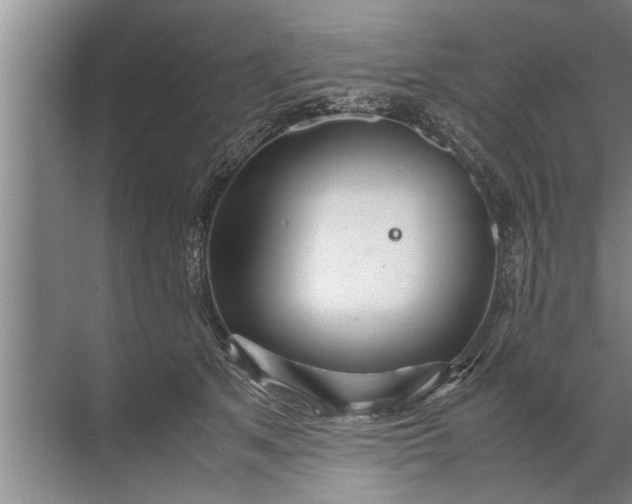 X0000072520513200607290202