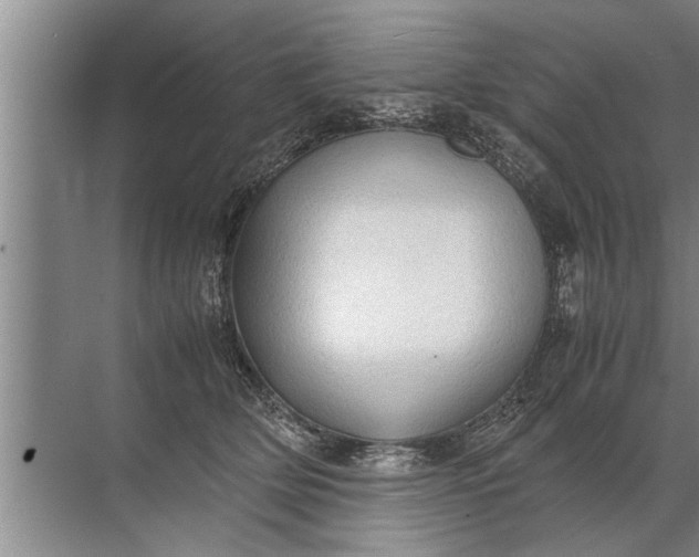 X0000072520514200607290202