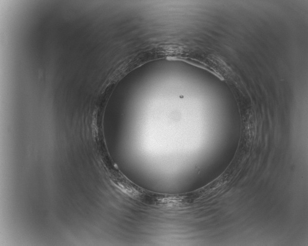 X0000072520516200607290202