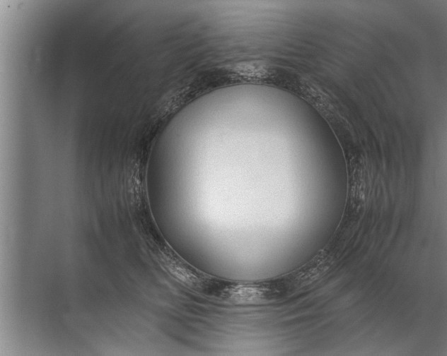 X0000072520518200607290202