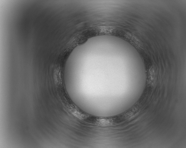 X0000072520522200607290201