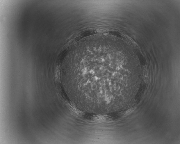 X0000072520523200607290201