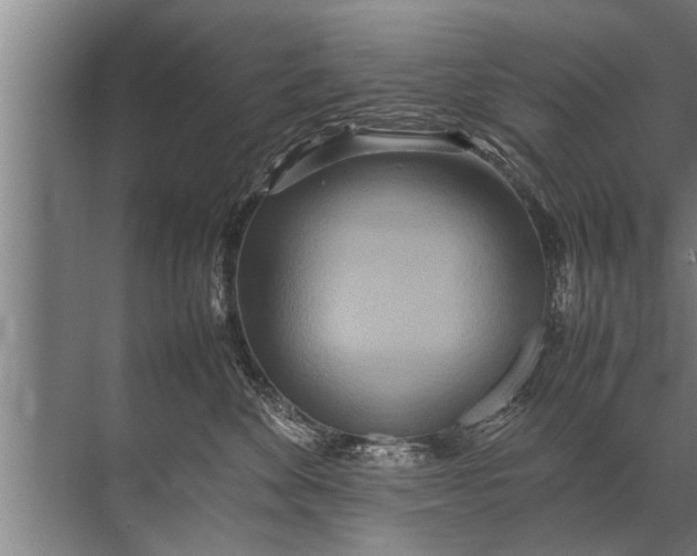 X0000072520524200607290201