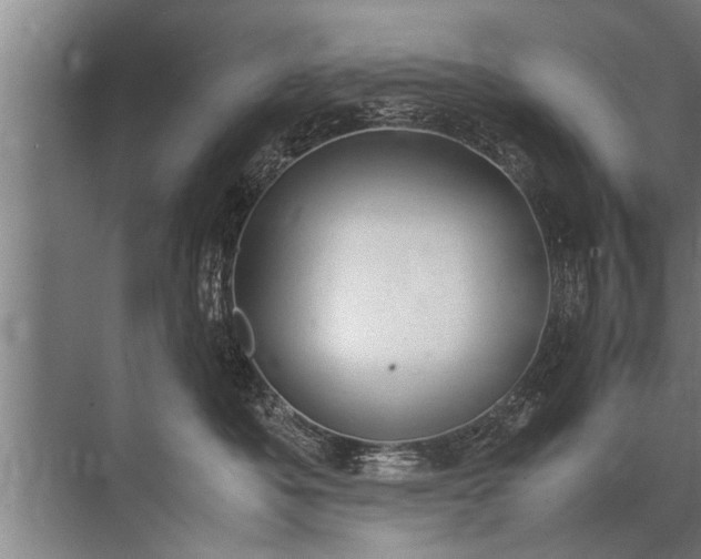 X0000072520525200607290201