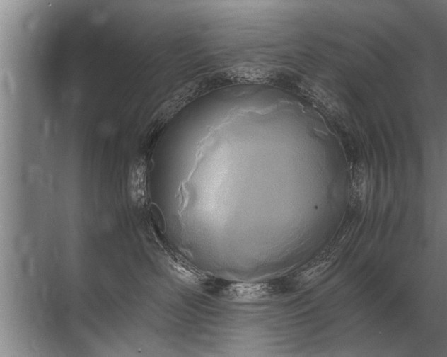 X0000072520526200607290201