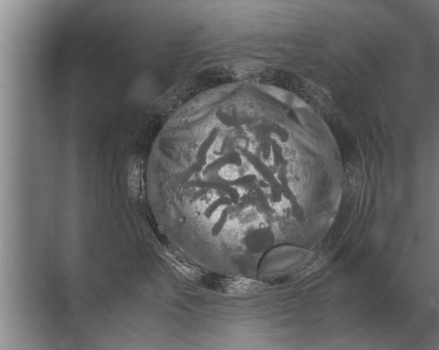 X0000072520527200607290201