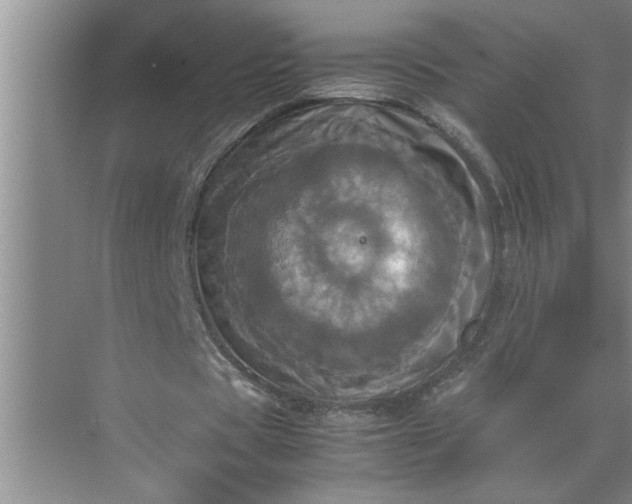 X0000072520529200607290201