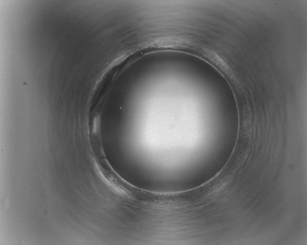 X0000072520530200607290201