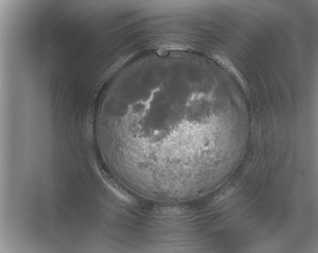 X0000072520533200607290201