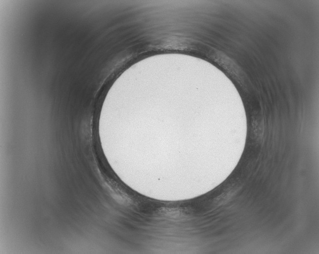 X0000072520534200607290201