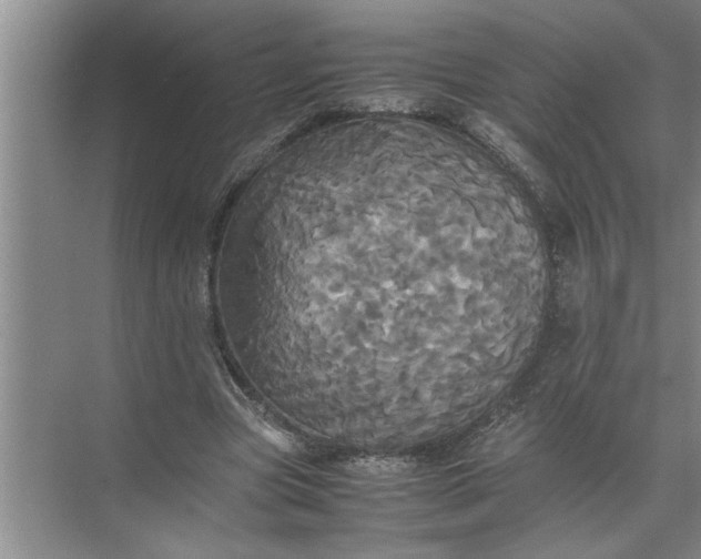 X0000072520537200607290201