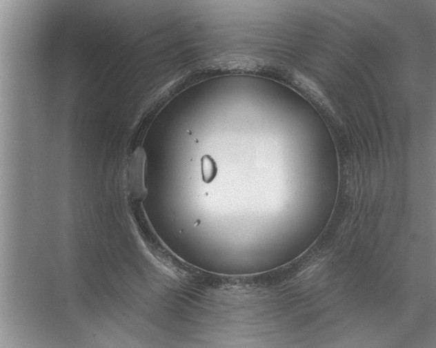 X0000072520538200607290201