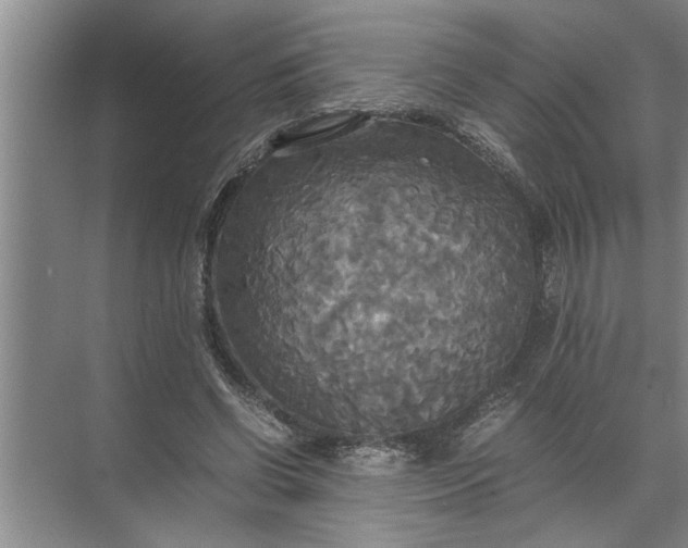 X0000072520542200607290201