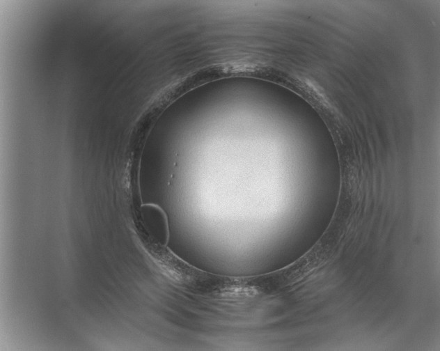 X0000072520543200607290201