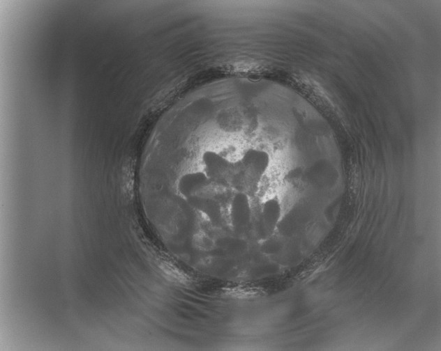 X0000072520545200607290201