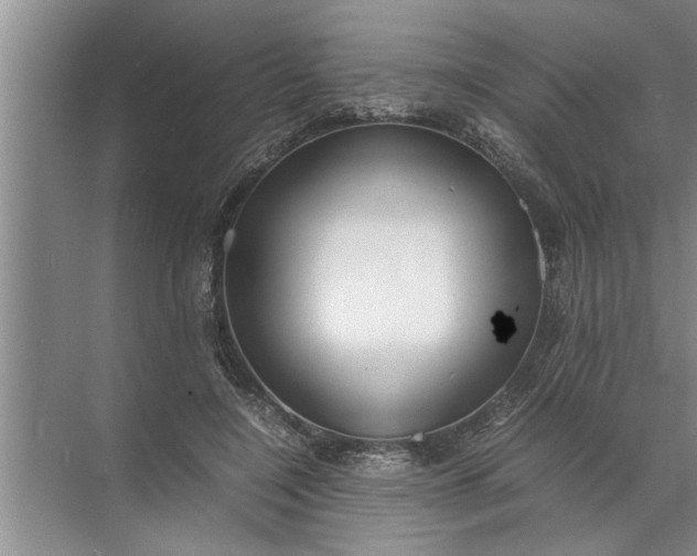 X0000072520548200607290201