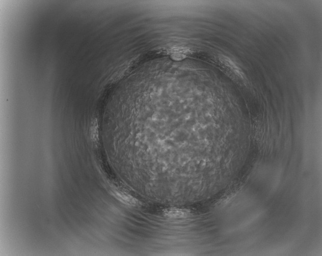 X0000072520549200607290201