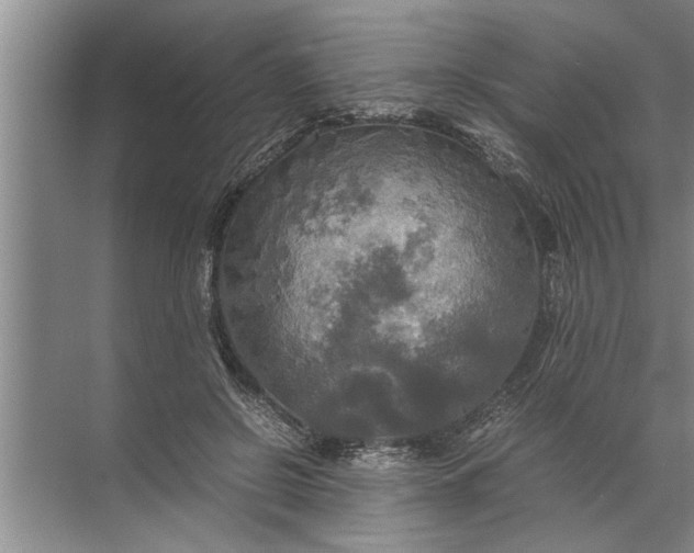 X0000072520550200607290201