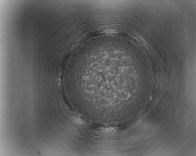 X0000072520553200607290201