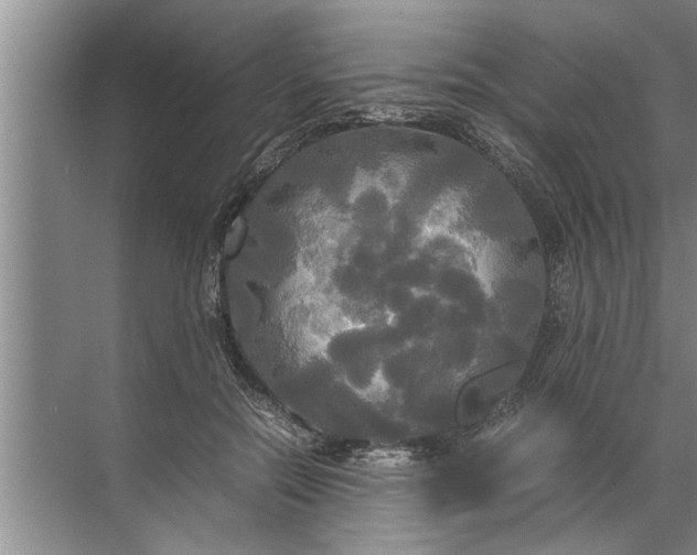 X0000072520554200607290201