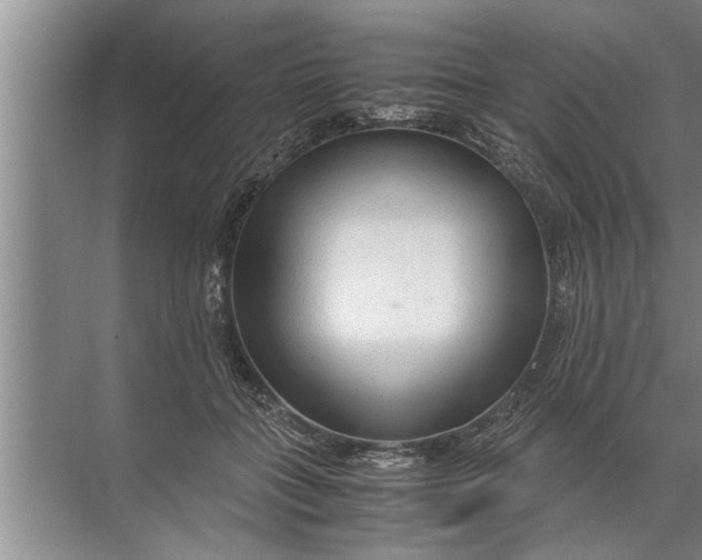 X0000072520555200607290201