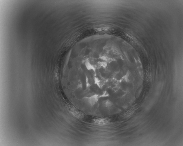 X0000072520561200607290201