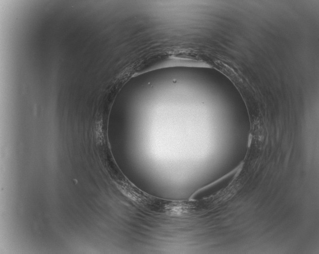 X0000072520564200607290201