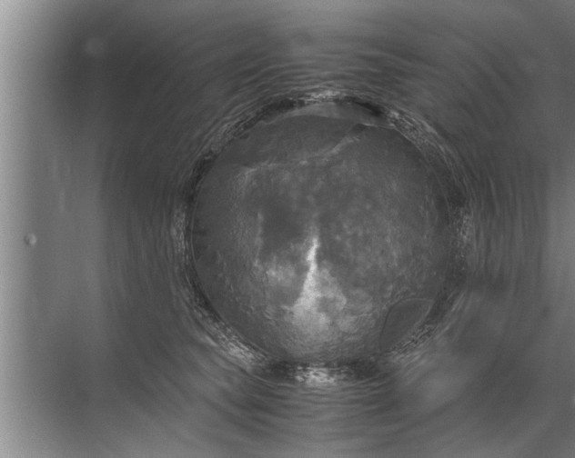 X0000072520565200607290201