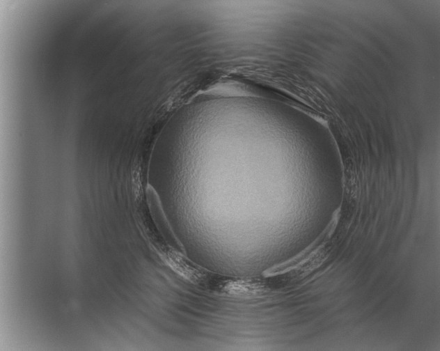 X0000072520568200607290201