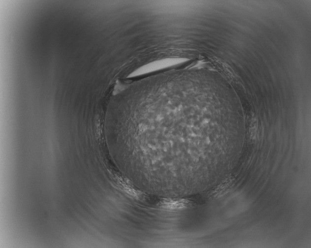 X0000072520569200607290201