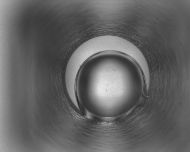 X0000072520570200607290201