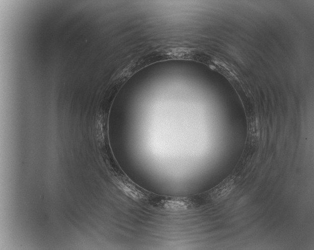 X0000072520572200607290201