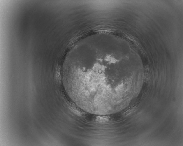 X0000072520573200607290201