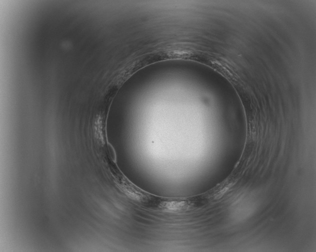 X0000072520575200607290201