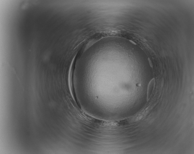 X0000072520576200607290201