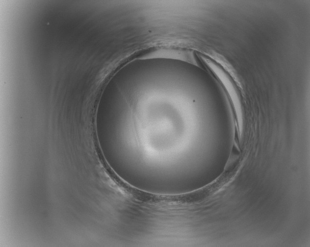 X0000072520577200607290200