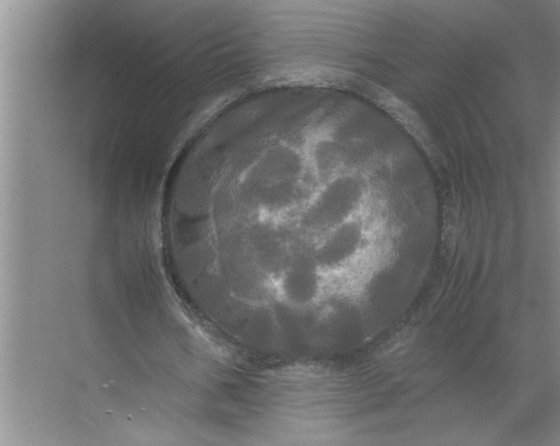 X0000072520578200607290200