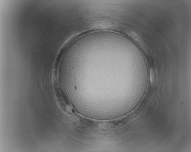 X0000072520579200607290200