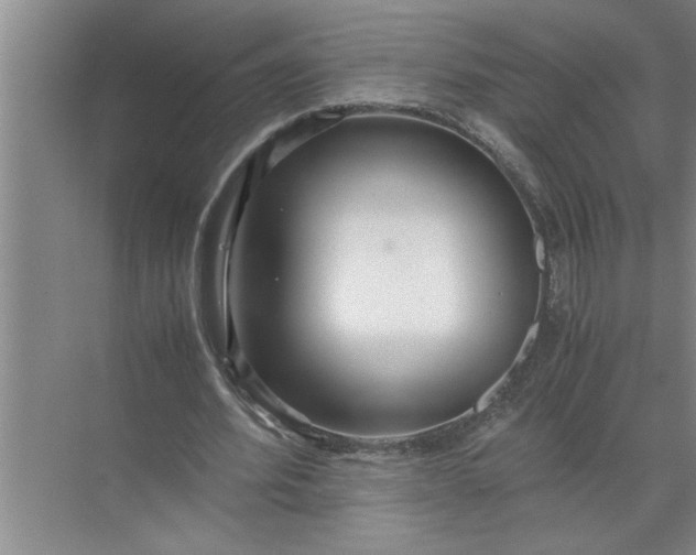 X0000072520580200607290200