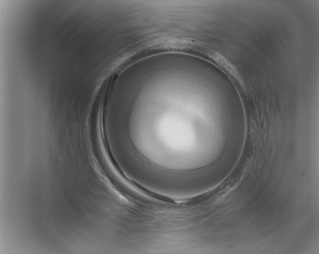 X0000072520581200607290200