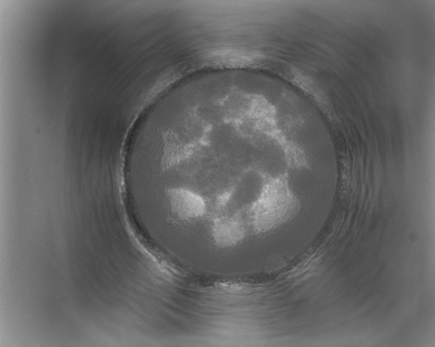 X0000072520582200607290200