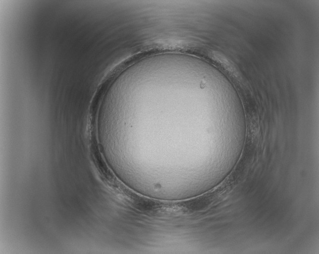 X0000072520583200607290200