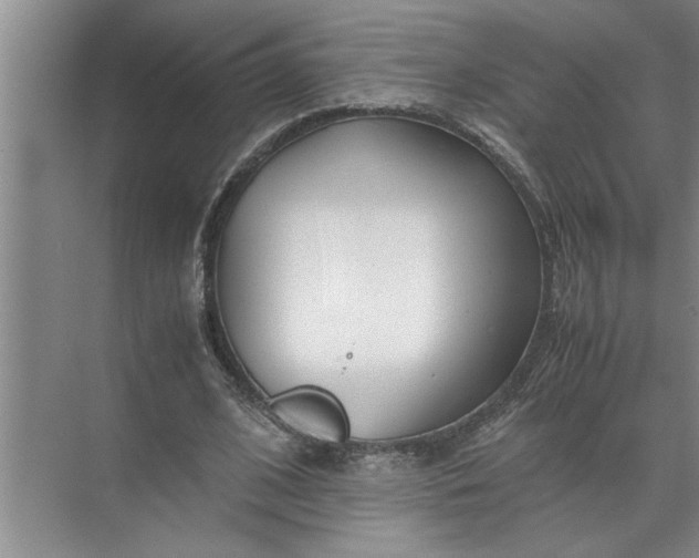 X0000072520584200607290200