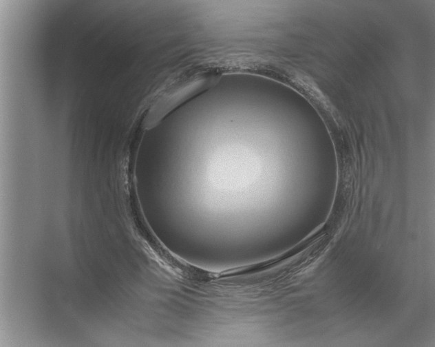 X0000072520585200607290200