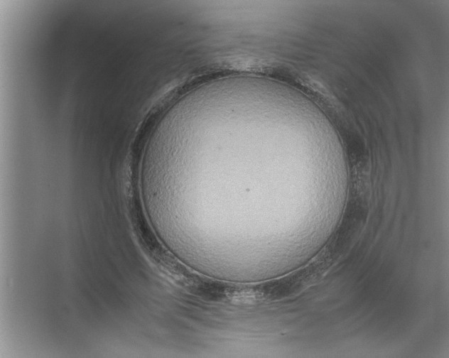 X0000072520587200607290200