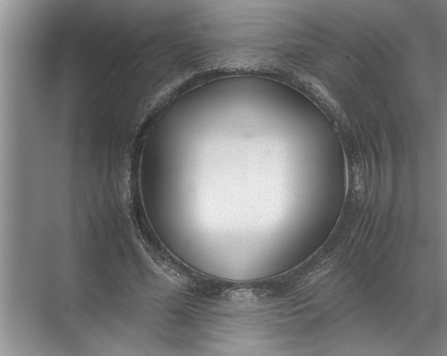 X0000072520588200607290200