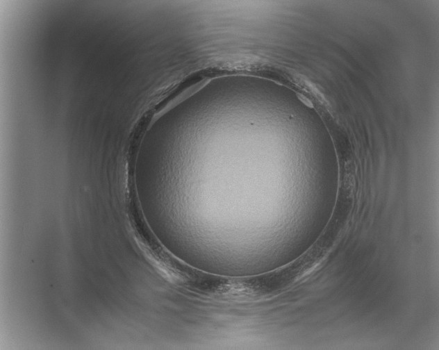 X0000072520589200607290200