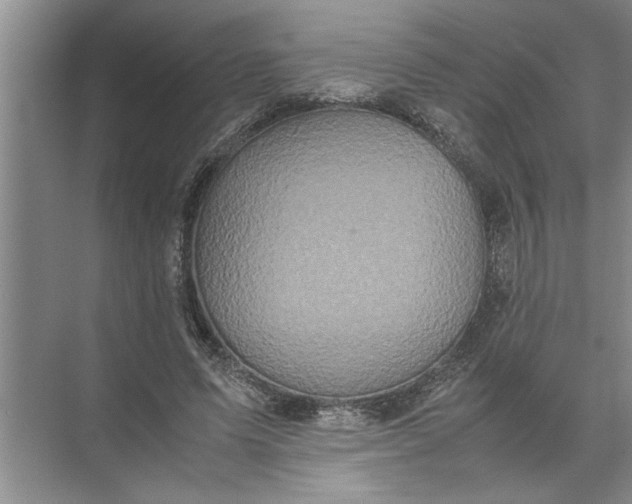 X0000072520591200607290200