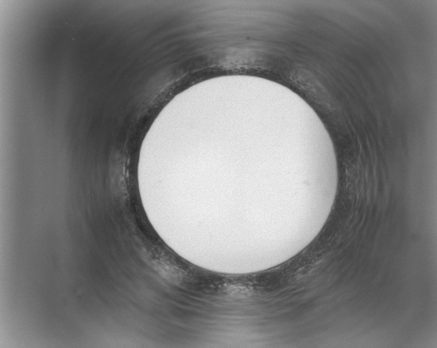 X0000072520592200607290200