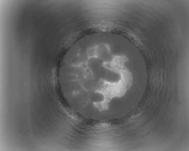 X0000072520594200607290200